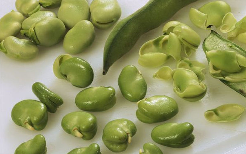 蠶豆冷凍需要煮熟嗎 蠶豆冷水下鍋還是熱水 蠶豆冷凍需要煮熟嗎 蠶豆冷水下鍋還是熱水