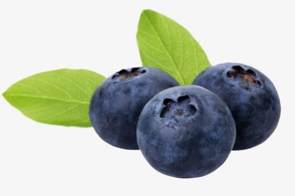 藍(lán)莓為什么對眼睛有好處 藍(lán)莓為什么護(hù)眼 藍(lán)莓為什么對眼睛有好處 藍(lán)莓為什么護(hù)眼
