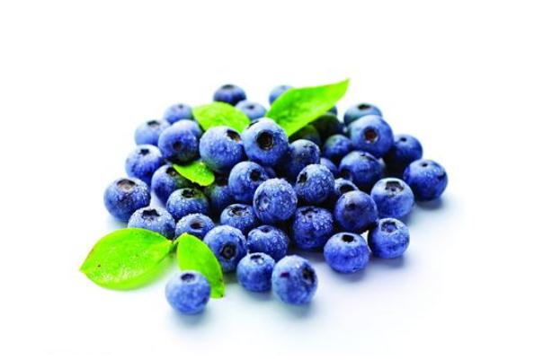 藍(lán)莓有啥營(yíng)養(yǎng) 藍(lán)莓有什么用