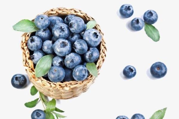 藍(lán)莓孕婦可以吃嗎 孕婦吃了藍(lán)莓會(huì)怎樣 藍(lán)莓孕婦可以吃嗎 孕婦吃了藍(lán)莓會(huì)怎樣