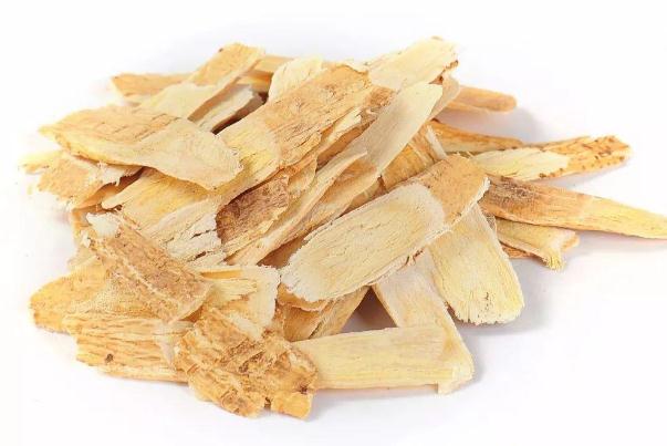 黃芪可以每天泡水喝嗎 黃芪可以直接嚼著吃嗎