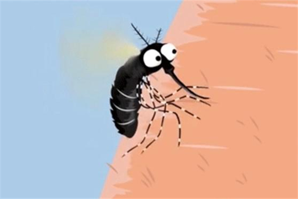 蚊子喜歡什么血型 蚊子喜歡咬什么樣的人 蚊子喜歡什么血型 蚊子喜歡咬什么樣的人