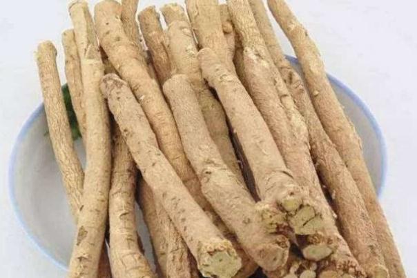 黃芪的副作用及禁忌 黃芪的用法與用量 黃芪的副作用及禁忌 黃芪的用法與用量