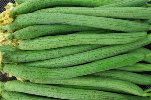 絲瓜與西紅柿能同吃嗎 絲瓜與什么相克 絲瓜與西紅柿能同吃嗎 絲瓜與什么相克