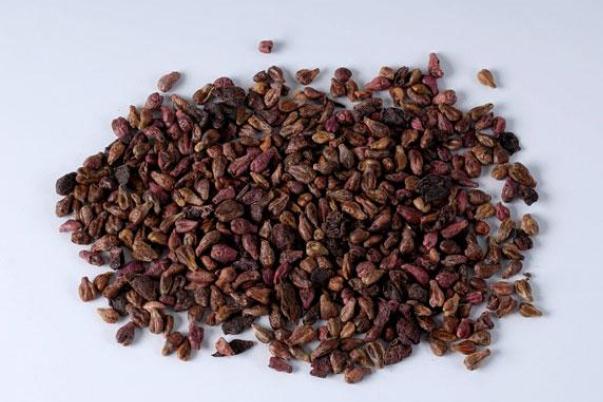 葡萄籽什么時(shí)候吃最好 葡萄籽一天吃幾粒 葡萄籽什么時(shí)候吃最好 葡萄籽一天吃幾粒