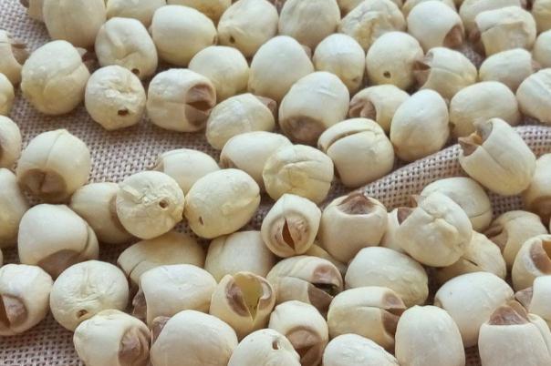 蓮子對孕婦有什么好處 孕婦吃蓮子對胎兒好嗎 蓮子對孕婦有什么好處 孕婦吃蓮子對胎兒好嗎