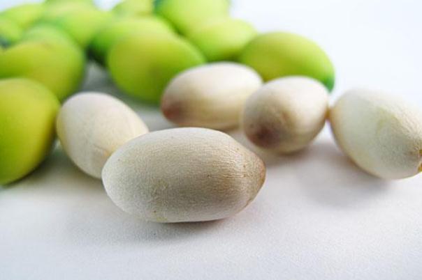 蓮子對胃有好處嗎 胃不好能吃蓮子嗎 蓮子對胃有好處嗎 胃不好能吃蓮子嗎