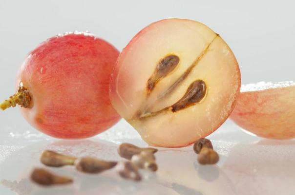 葡萄籽什么時(shí)候吃最好 葡萄籽一天吃幾粒 葡萄籽什么時(shí)候吃最好 葡萄籽一天吃幾粒