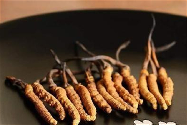 蟲草可以調(diào)理月經(jīng)嗎 蟲草孕婦可以吃嗎 蟲草可以調(diào)理月經(jīng)嗎 蟲草孕婦可以吃嗎