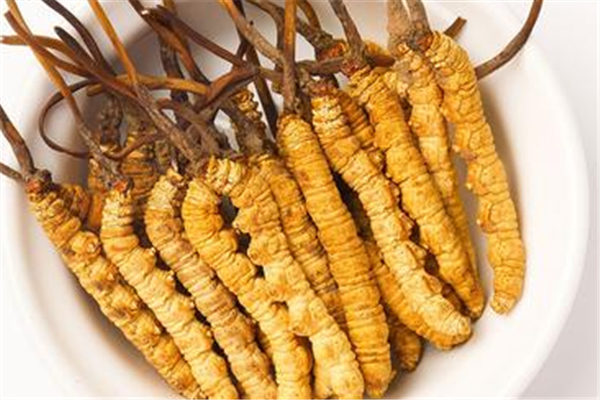 蟲草可以調(diào)理月經(jīng)嗎 蟲草孕婦可以吃嗎 蟲草可以調(diào)理月經(jīng)嗎 蟲草孕婦可以吃嗎