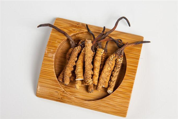 蟲(chóng)草會(huì)上火嗎 蟲(chóng)草適合什么季節(jié)吃 蟲(chóng)草會(huì)上火嗎 蟲(chóng)草適合什么季節(jié)吃