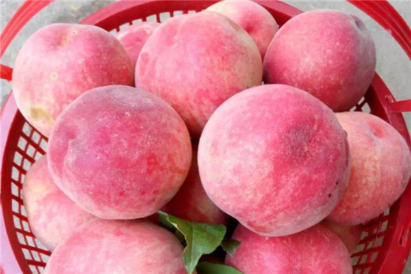 桃子裂了可以吃嗎 桃子裂了是什么原因 桃子裂了可以吃嗎 桃子裂了是什么原因