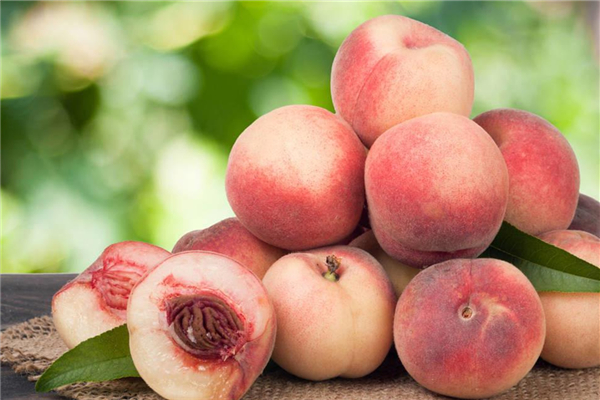 桃子有公母之分嗎 桃子公母怎么區(qū)分 桃子有公母之分嗎 桃子公母怎么區(qū)分