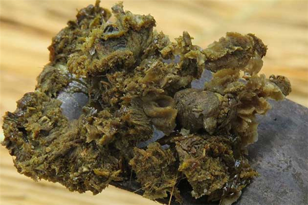 蜂膠有假的嗎 蜂膠真假怎么鑒別 蜂膠有假的嗎 蜂膠真假怎么鑒別