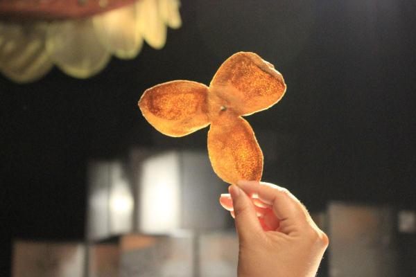 陳皮怎么喝效果好 陳皮為什么那么貴 陳皮怎么喝效果好 陳皮為什么那么貴