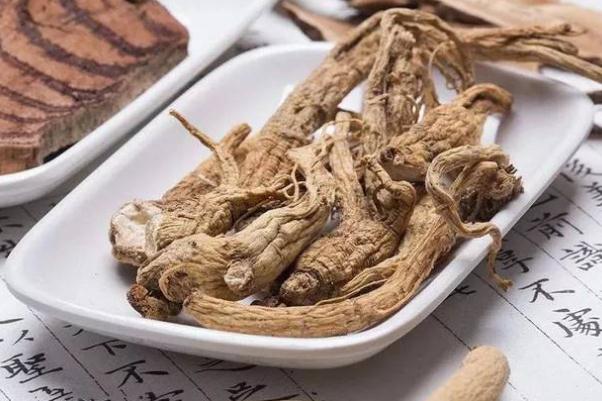 當歸對肝臟有損傷嗎 當歸對皮膚的功效與作用 當歸對肝臟有損傷嗎 當歸對皮膚的功效與作用