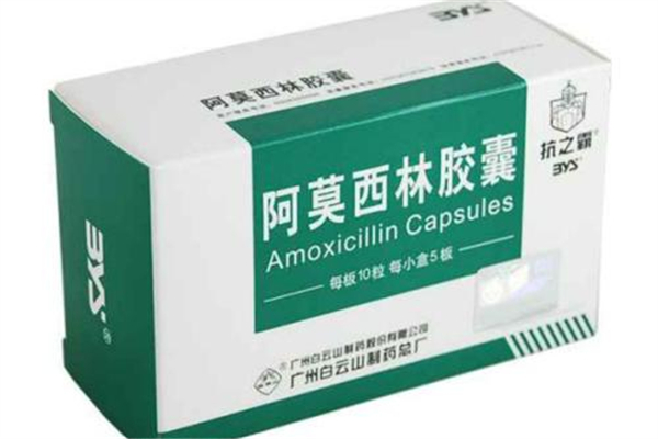 阿莫西林吃了能喝酒嗎 阿莫西林吃了多久能見效 阿莫西林吃了能喝酒嗎 阿莫西林吃了多久能見效