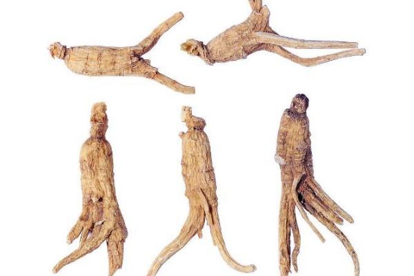 當(dāng)歸可以泡腳用嗎 當(dāng)歸泡腳的好處 當(dāng)歸可以泡腳用嗎 當(dāng)歸泡腳的好處