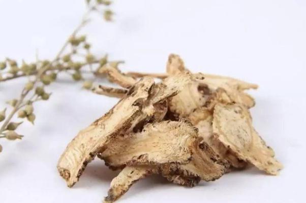 當歸的禁忌和副作用 當歸吃多了會怎么樣 當歸的禁忌和副作用 當歸吃多了會怎么樣