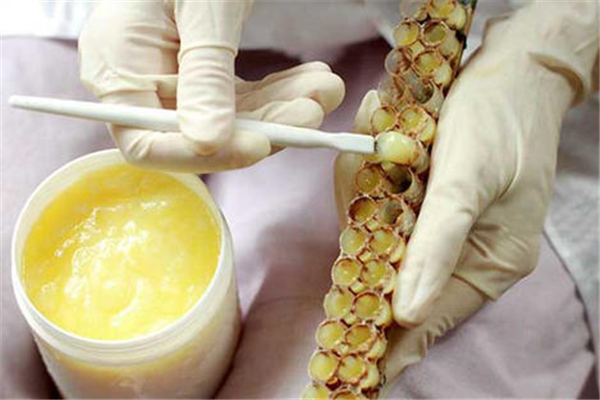 蜂王漿怎么生產(chǎn)出來(lái)的 蜂王漿是怎么形成的 蜂王漿怎么生產(chǎn)出來(lái)的 蜂王漿是怎么形成的