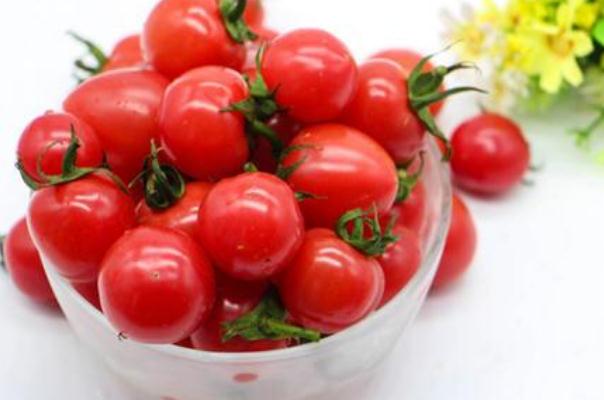 圣女果的功效與作用 圣女果一天可以吃多少 圣女果的功效與作用 圣女果一天可以吃多少