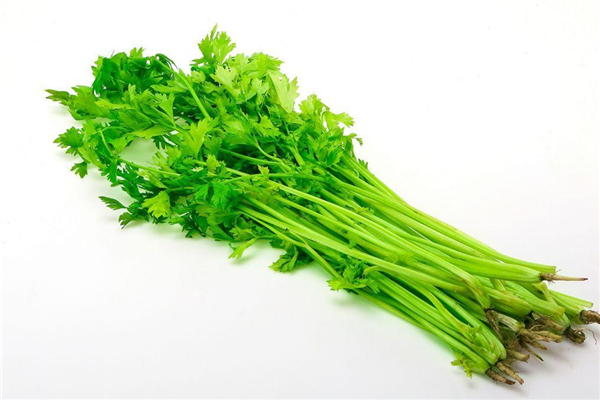 芹菜可以降高血壓嗎 芹菜降壓效果怎么樣 芹菜可以降高血壓嗎 芹菜降壓效果怎么樣