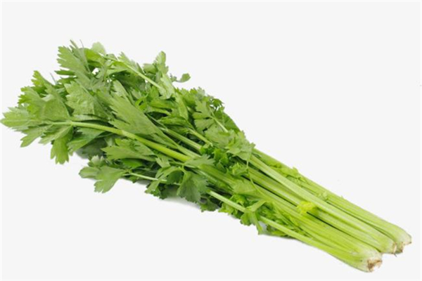 芹菜可以降高血壓嗎 芹菜降壓效果怎么樣 芹菜可以降高血壓嗎 芹菜降壓效果怎么樣
