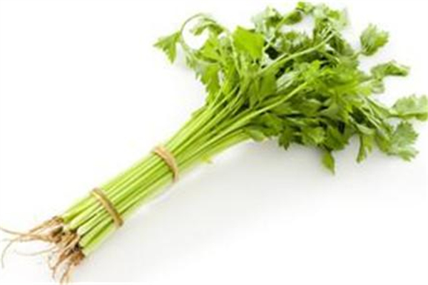 芹菜有幾種 芹菜哪種炒菜好吃 芹菜有幾種 芹菜哪種炒菜好吃