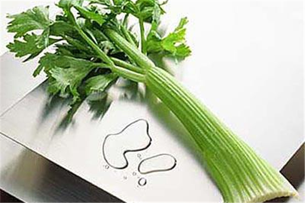芹菜有幾種 芹菜哪種炒菜好吃 芹菜有幾種 芹菜哪種炒菜好吃