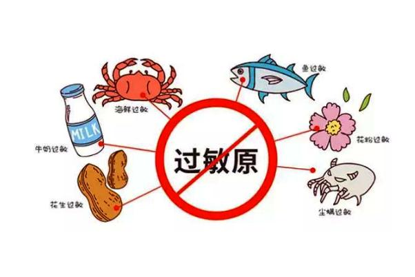 過敏性紫癜不能吃什么 過敏性紫癜能吃什么 過敏性紫癜不能吃什么 過敏性紫癜能吃什么