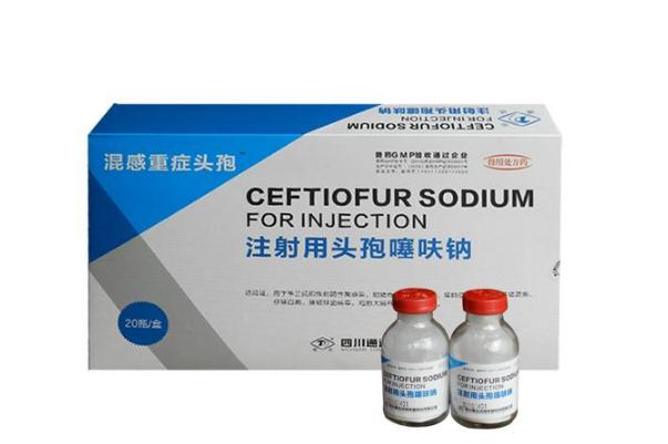 頭孢的過敏反應(yīng)有哪些 頭孢的禁忌有哪些 頭孢的過敏反應(yīng)有哪些 頭孢的禁忌有哪些