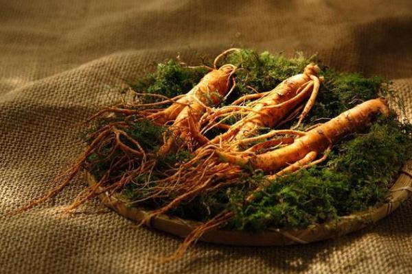 人參是發(fā)物嗎 人參要燉多長時間 人參是發(fā)物嗎 人參要燉多長時間