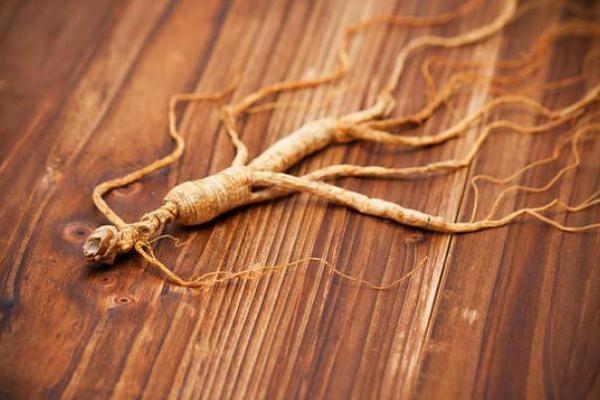 人參的功效與作用 人參怎么吃 人參的功效與作用 人參怎么吃