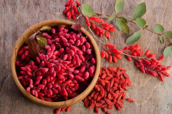 枸杞和紅棗泡水喝有什么好處 枸杞加什么最補(bǔ)腎壯陽 枸杞和紅棗泡水喝有什么好處 枸杞加什么最補(bǔ)腎壯陽