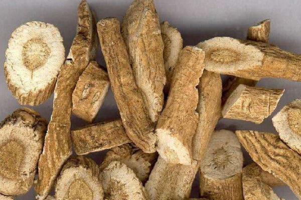 板藍(lán)根是風(fēng)寒還是風(fēng)熱 板藍(lán)根是消炎藥嗎