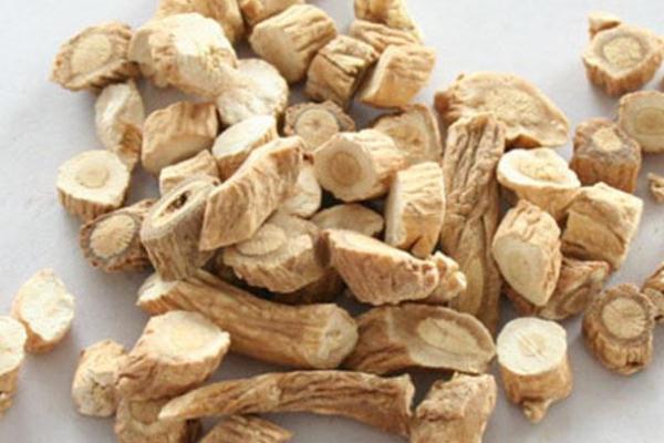 板藍(lán)根可以預(yù)防流感嗎 板藍(lán)根可以和阿莫西林一起吃么 板藍(lán)根可以預(yù)防流感嗎 板藍(lán)根可以和阿莫西林一起吃么