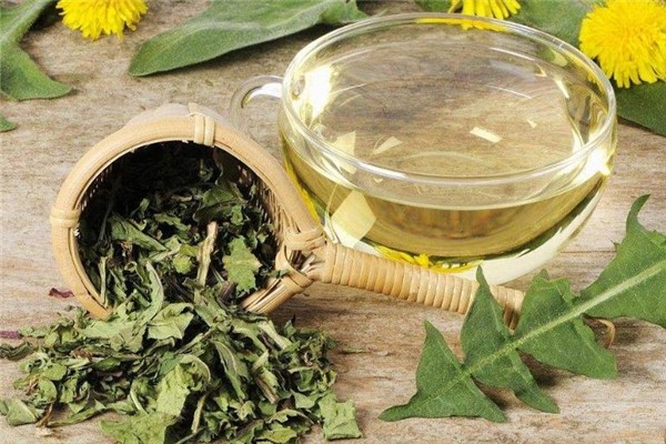 夏季喝蜂蜜水的好處 夏季喝什么水對(duì)身體好 夏季喝蜂蜜水的好處 夏季喝什么水對(duì)身體好