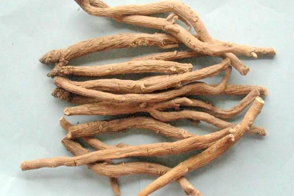 板藍(lán)根對(duì)喉嚨痛有效嗎 板藍(lán)根對(duì)扁桃體發(fā)炎有用嗎 板藍(lán)根對(duì)喉嚨痛有效嗎 板藍(lán)根對(duì)扁桃體發(fā)炎有用嗎