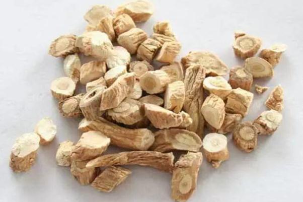 板藍(lán)根可以長期喝嗎 板藍(lán)根喝多了對身體有害嗎 板藍(lán)根可以長期喝嗎 板藍(lán)根喝多了對身體有害嗎