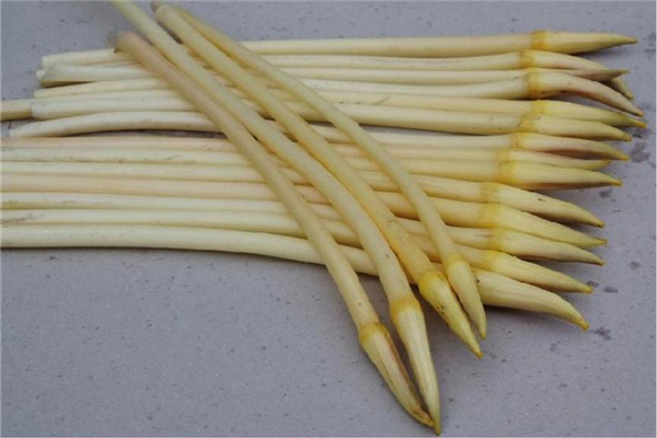 藕帶是什么季節(jié)的 藕帶什么時候最好吃 藕帶是什么季節(jié)的 藕帶什么時候最好吃