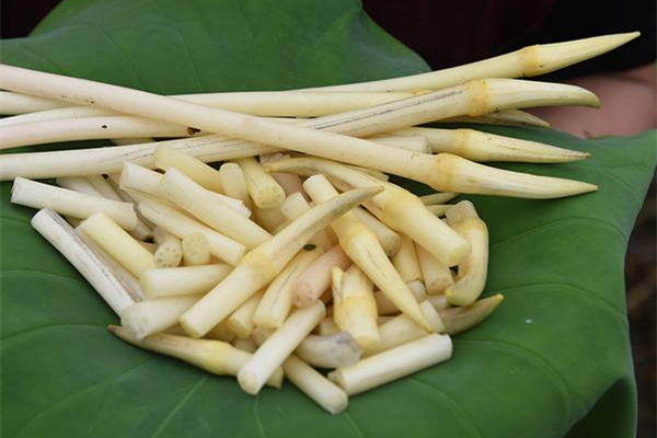 藕帶是蓮藕的哪個(gè)部位 藕帶怎么做好吃 藕帶是蓮藕的哪個(gè)部位 藕帶怎么做好吃