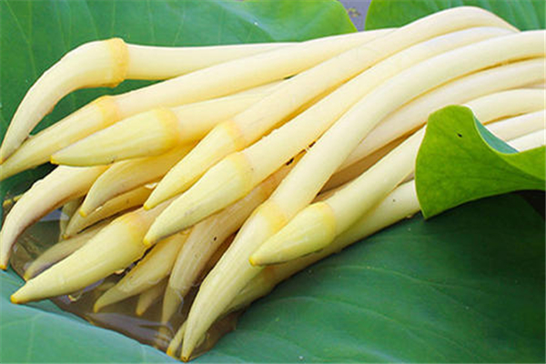 藕帶是什么季節(jié)的 藕帶什么時候最好吃 藕帶是什么季節(jié)的 藕帶什么時候最好吃