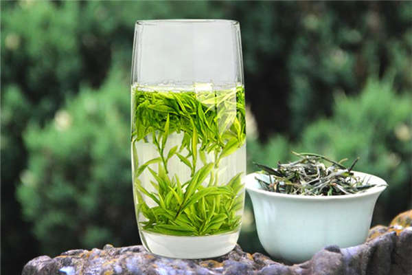 綠茶喝起來澀正常嗎 綠茶正確的沖泡方法 綠茶喝起來澀正常嗎 綠茶正確的沖泡方法