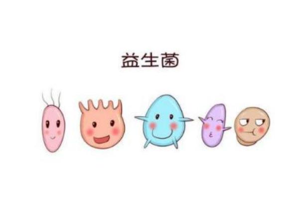 益生菌的作用與功效 益生菌一般吃多長時間 益生菌的作用與功效 益生菌一般吃多長時間