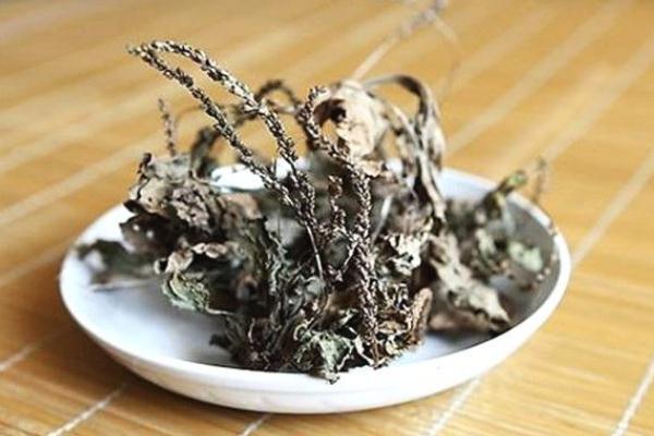 車(chē)前草會(huì)過(guò)敏嗎 車(chē)前草會(huì)拉肚子嗎 車(chē)前草會(huì)過(guò)敏嗎 車(chē)前草會(huì)拉肚子嗎