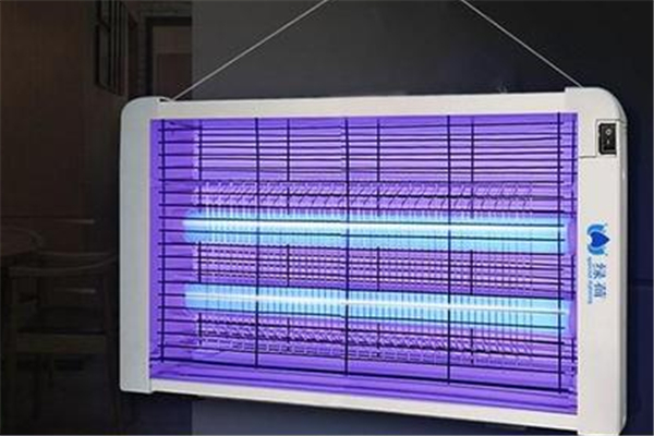 滅蚊燈可以滅小飛蟲(chóng)嗎 滅蚊燈可以滅蒼蠅嗎 滅蚊燈可以滅小飛蟲(chóng)嗎 滅蚊燈可以滅蒼蠅嗎