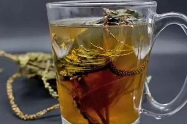 車前草會不會降血壓 車前草會傷腎嗎 車前草會不會降血壓 車前草會傷腎嗎