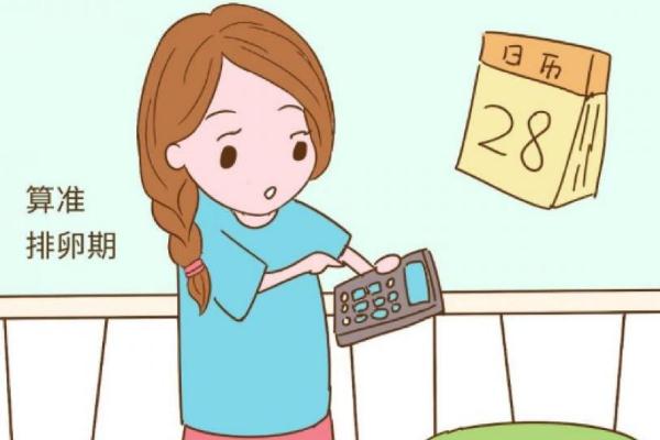 排卵期怎么算才最準(zhǔn)確 排卵期有幾天 排卵期怎么算才最準(zhǔn)確 排卵期有幾天