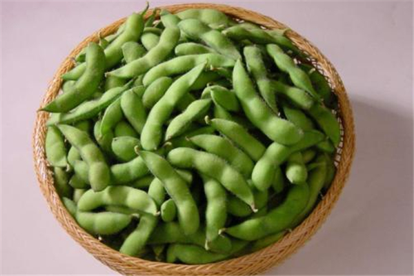 毛豆是黃豆嗎 毛豆怎么煮才能又綠又好吃 毛豆是黃豆嗎 毛豆怎么煮才能又綠又好吃