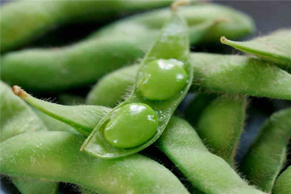 毛豆吃了會(huì)脹氣嗎 為什么毛豆吃多了會(huì)肚脹 毛豆吃了會(huì)脹氣嗎 為什么毛豆吃多了會(huì)肚脹